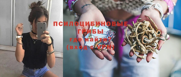 mix Абаза