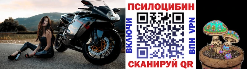 Галлюциногенные грибы MAGIC MUSHROOMS  Кингисепп 